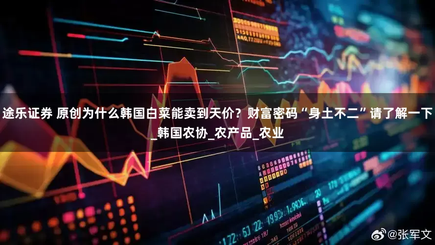 途乐证券 原创为什么韩国白菜能卖到天价？财富密码“身土不二”请了解一下_韩国农协_农产品_农业