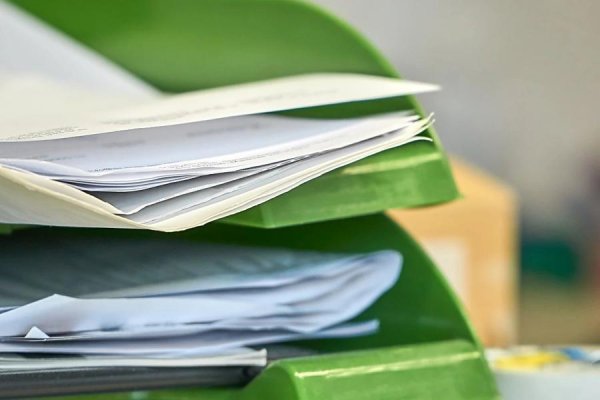 凡资配 国安机关披露: 境外反华组织的一场“政治避难”闹剧内幕