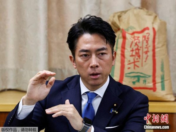 大资本优配 谁胜选后将领导日本？ 日媒调查：这两人呼声最高